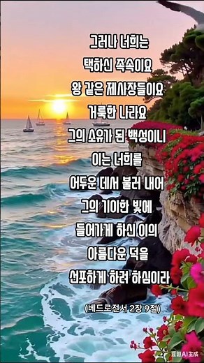 너희가 내게 대하여 제사장 나라가 되며 거룩한 백성이 되리라 너는 이 말을 이스라엘 자손에게 전할지니라 (출애굽기19:6)