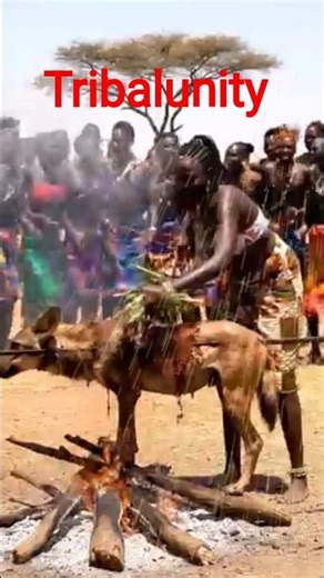 African Jungle Food🔥#africa #tribal #cooking #wildlife #food #jungle #traditional #trending #shorts