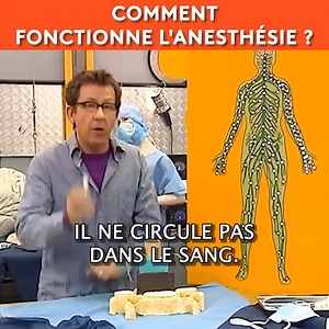 Comment fonctionne l'anesthésie ? « C’est pas sorcier », le magazine de la science et de la découverte présenté par Fred, Jamy et Sabine. A bord de leur camion laboratoire, les trois présentateurs nous emmènent vers des sites insolites et spectaculaires pour nous expliquer le monde qui nous entoure. Retrouvez les émissions sur : https://www.youtube.com/user/cestpassorcierftv Suivez-nous sur Facebook https://www.facebook.com/cestpassorcier/ #cestpassorcier #Jamy #science | C'est pas sorcier