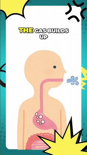 Why Do We Burp? | Fun Body Facts for Kids | Educational Shorts