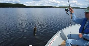 Motorized reel designed to empower disabled anglers