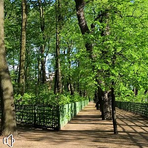 Don’t let fear keep you from getting the benefits you’ve earned. Book a no-obligation discovery call today. | VA Claims Insider