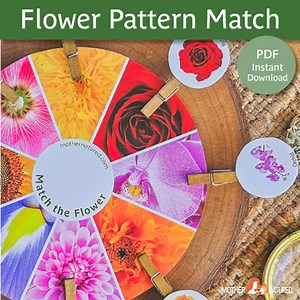 Flower Matching Activity | Flower Pattern Activity | Flower Study Printable
