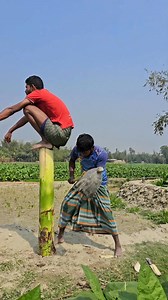 140K views · 267 reactions | New funny video of village | Village Fun 13 | Facebook