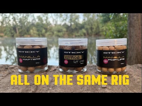 CARP FISHING with a bottom bait,wafter and a pop up all on the same RIG