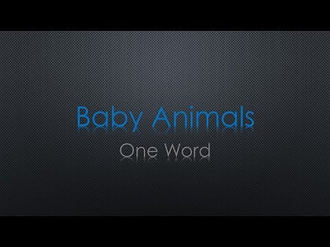 Baby Animals One Word Lyrics