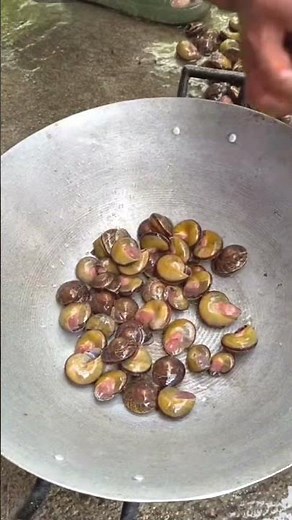 Catch And Cook Ginataang Shell #shorts #cooking