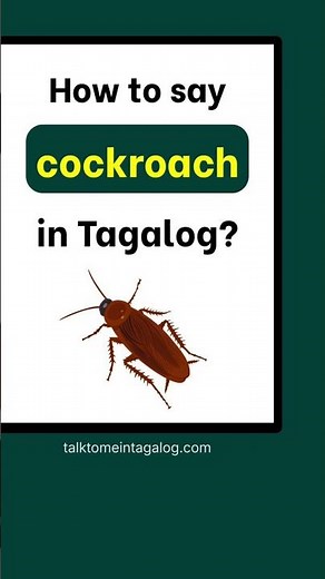 How to Say COCKROACH in Tagalog?