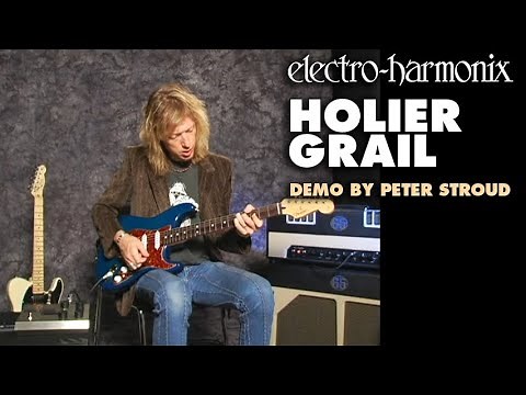 Electro-Harmonix Holier Grail Reverb / Gate Pedal (Demo by Peter Stroud)