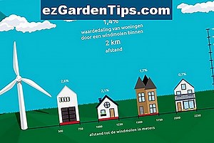 Feiten over cacaobomen 🌱 Tips Tuinders - Nl.ezGardenTips.com