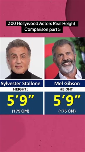 300 Hollywood Actors Real Height Comparison part 5#foryoupage #foryoupage❤️❤️ #videoviral #Unitedkingdom #treading