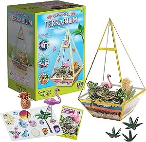 Creativity for Kids Tropical Terrarium Craft Kit - Kids Terrarium Kit, STEAM Activity (Ages 7+)