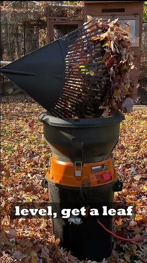 Best Way to Mulch Leaves