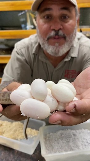 Jay Prehistoric on TikTok