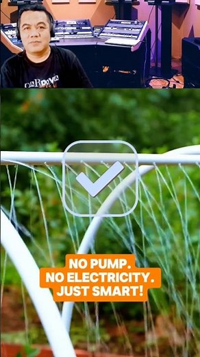 Genius PVC Hack for Watering Plants! #lifehacks #geniushacks #shorts #diy