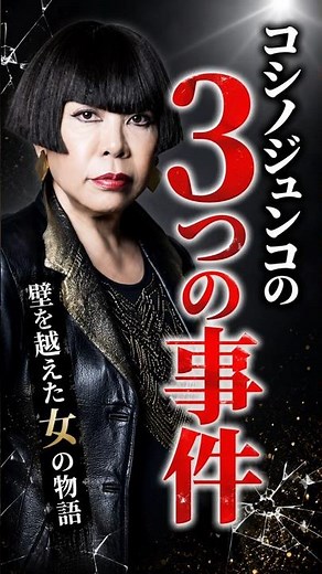 コシノジュンコ３つの事件