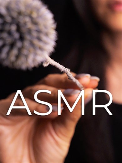 ASMR Making You Blink… Then Sleep (No Talking)#asmr | asmr video