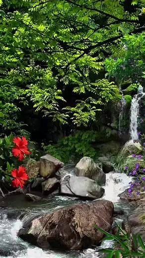 Relaxing Water Sounds for Peaceful Nature Vibes