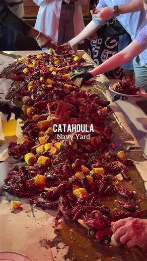 Catahoula: New Waterfront Rooftop Bar & Restaurant in Navy Yard