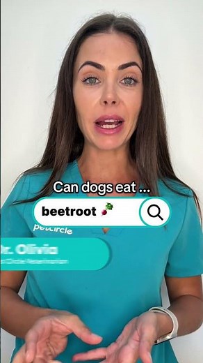 Can dogs eat beetroot? 🫜. | PET CIRCLE