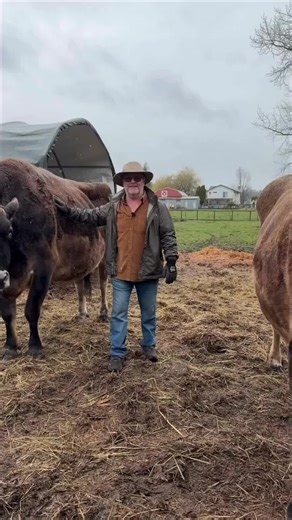 Sparky has been part of the Herd for many years, and like many of our older animals, he needs a little extra care these days. 🐮💙 Our vet comes out regularly to check on him, and he even has his own chiropractor who visits the farm each week to help keep his back comfortable. Along with that, Sparky takes daily medication to help with arthritis and inflammation so he can keep enjoying his days out in the pasture. As animals get older, their care can look a little different, and the costs can ad