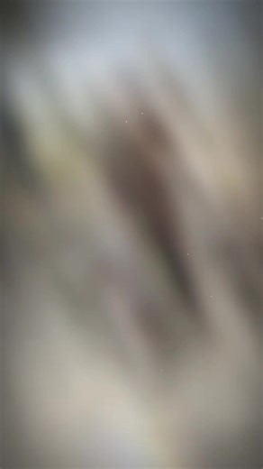 #xuhuong ( mới mượn dioc chiếc xe của bà tư nè)