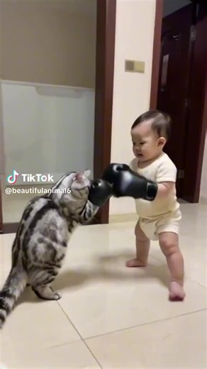 Vidéos de COMMANDANT AZIZ (@commandant.aziz) avec son original - COMMANDANT AZIZ