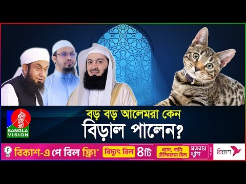 আলেমরা কেন বিড়াল পালেন? | Cat in Islam | Cats | BanglaVision