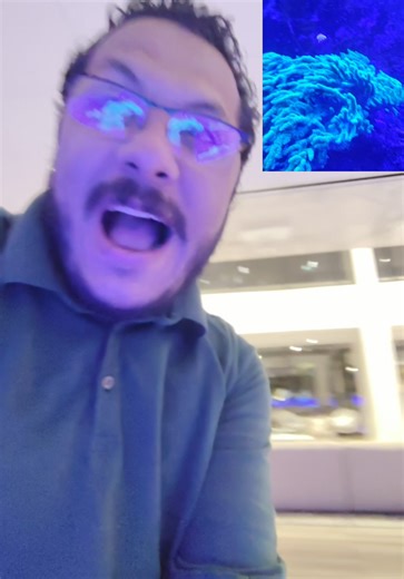 Homie (@hommy2025)’s videos with Simple, minimal Deep House(1330696) - tmk93