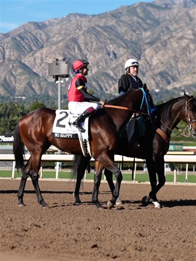Check out the horses that will be competing for Kentucky Derby points 🌹 in the San Felipe (G2) on Saturday! #horseracing #thoroughbred #racehorse #horses #kyderby