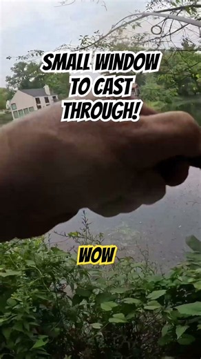 #fishing #bassfishing