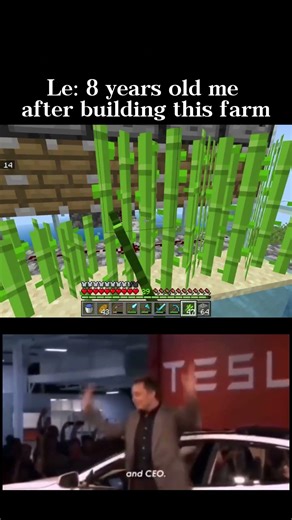 I Tried to Build a Farm in Minecraft… This Happened☠️