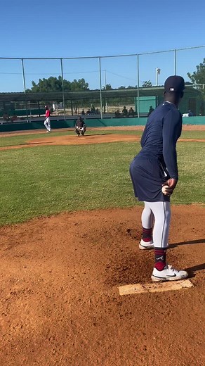 Baseball Pitcher vs. Batter: A Game Day Showcase