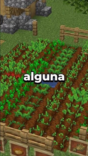 Cómo Plantar Cultivos en Minecraft