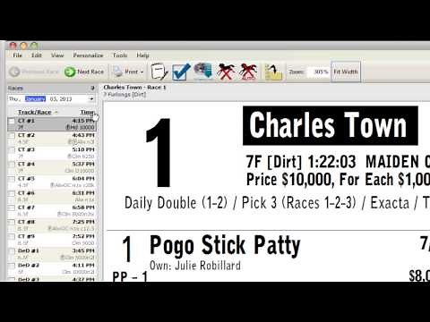 Post Time Daily 2.0™ Tutorial: Making The Best Looking Form