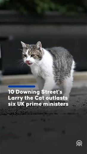 Chief Mouser Larry, who served six UK PMs, was spotted roaming outside 10 Downing Street