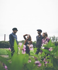 The Horse Puppets Concert & Tour History  | Concert Archives