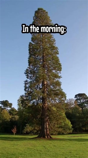 Let’s confuse the girls again 👩‍🦰|| #ihtoo #shorts #entertainment #ihtoovines #vinesentertainment