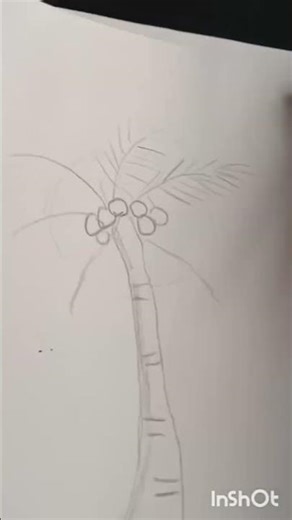 coconut tree#How to draw coconut tree#easily#