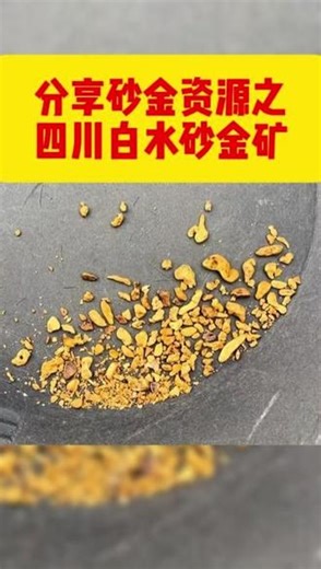 #淘金 #淘金者 #淘金谷 分享砂金资源之四川白水砂金矿@小王说淘金-直播