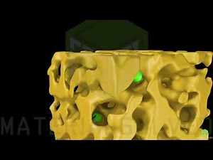 Charge path features in bulk heterojunction