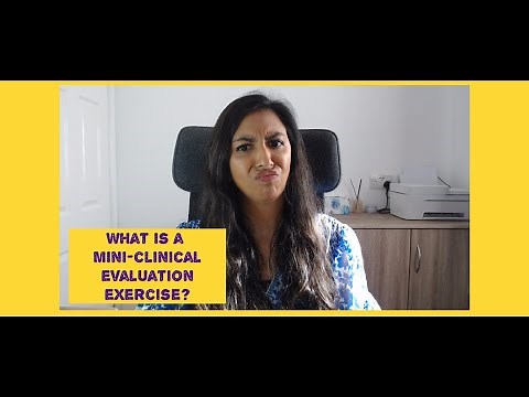 What is a Mini-Clinical Evaluation Exercise (Mini-CEX)?