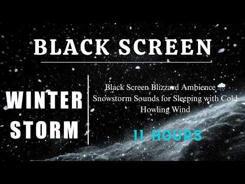 Black Screen Blizzard Ambience 🌨️ Snowstorm Sounds for Sleeping with Cold Howling Wind