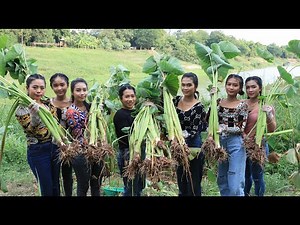 Yummy cooking taro boiled recipe in my village - Amazing video