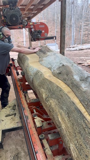 Experience Wood-Mizer Bimetal Blades in Action