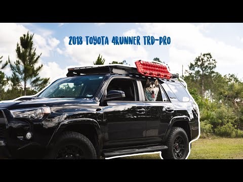 Is the Toyota 4Runner the best adventure vehicle for large dogs??? | 4 years of adventure review