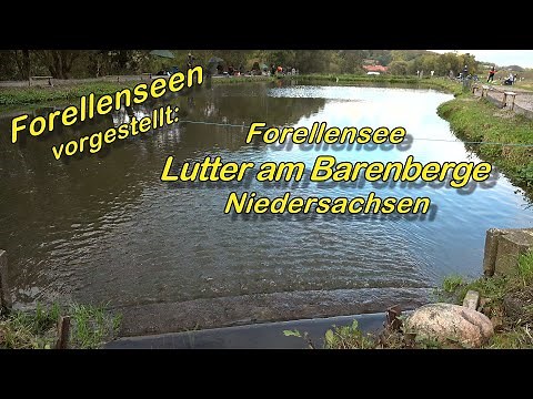 Forellensee Lutter am Barenberge