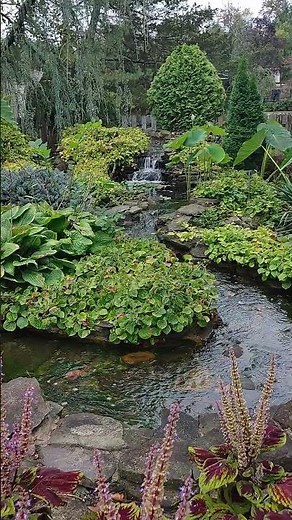 A Beautiful Garden Pond, Waterfall, And Stream