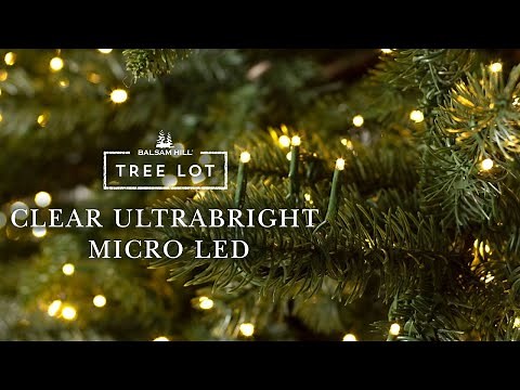 Clear Ultrabright Micro LED | Balsam Hill® Tree Lot