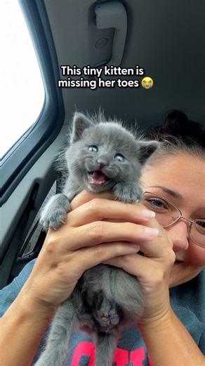 The Dodo on Instagram: "Watch her ZOOM up the stairs 😂 We spoke with @emookitkats, Trinity's foster mom, about how this little kitten never let being a tripod stop her from racing around the house 🐾"